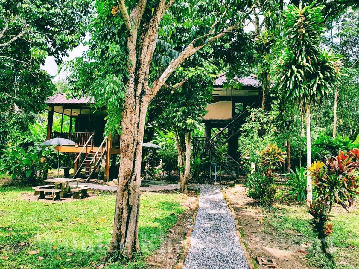 Malulee Khaosok Resort Khao Sok National Park Exterior photo